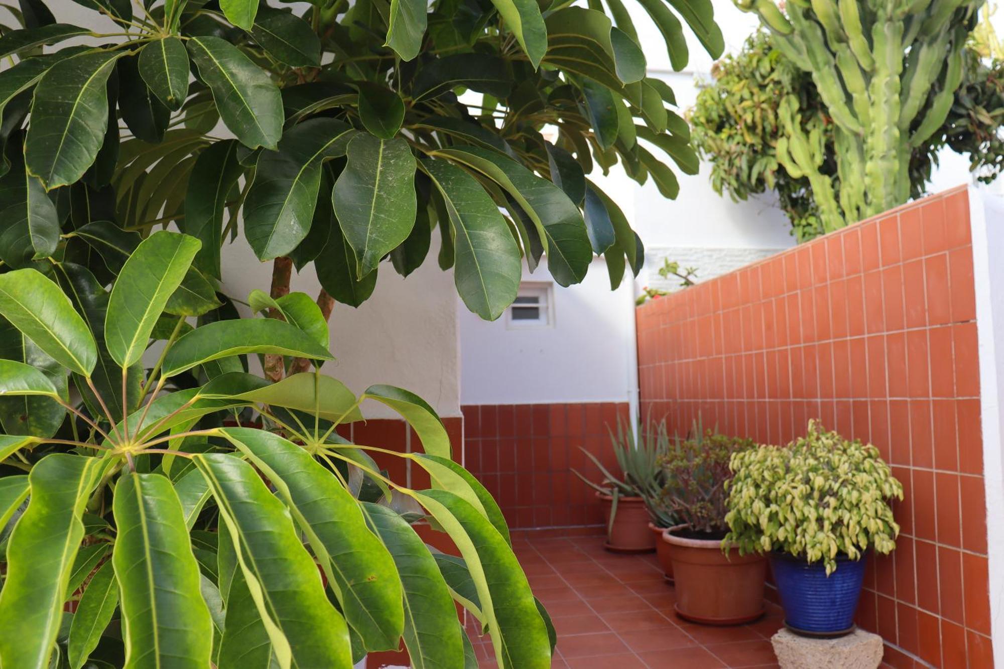 Costa Adeje Bungalow -Tenerife Exterior photo
